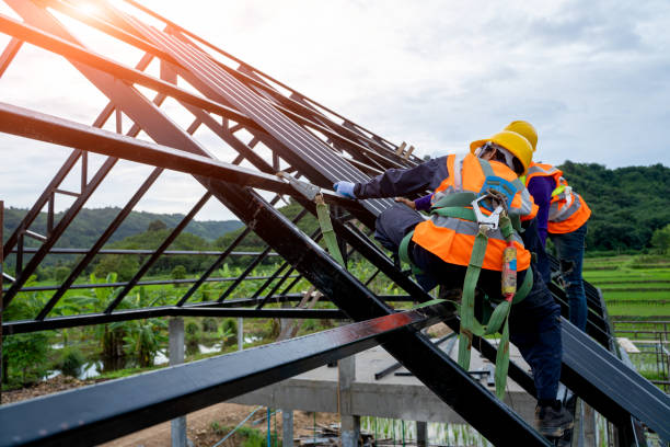 Best Roof Gutter Cleaning  in Shelbyvle, IL