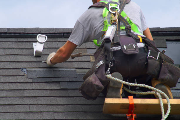 Best Best Roofing Contractors  in Shelbyvle, IL