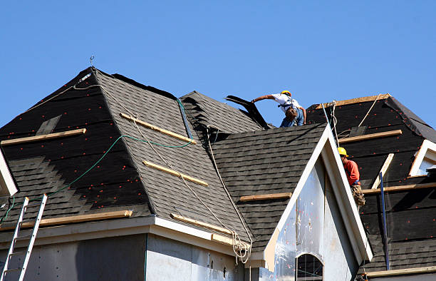 Best Commercial Roofing Services  in Shelbyvle, IL