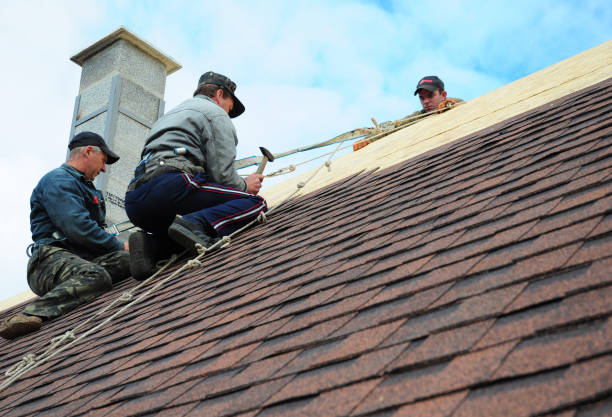 Quick and Trustworthy Emergency Roof Repair Services in Shelbyville, IL