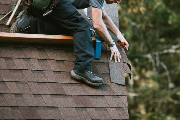 Best Roof Inspection Near Me  in Shelbyvle, IL